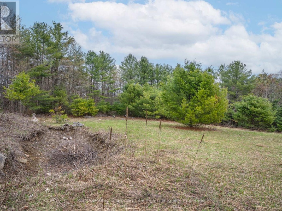 1112 TOM BOLTON ROAD, Minden Hills (Minden)