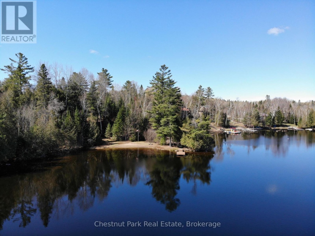 10453 COUNTY ROAD 503 ROAD, Gooderham Lake