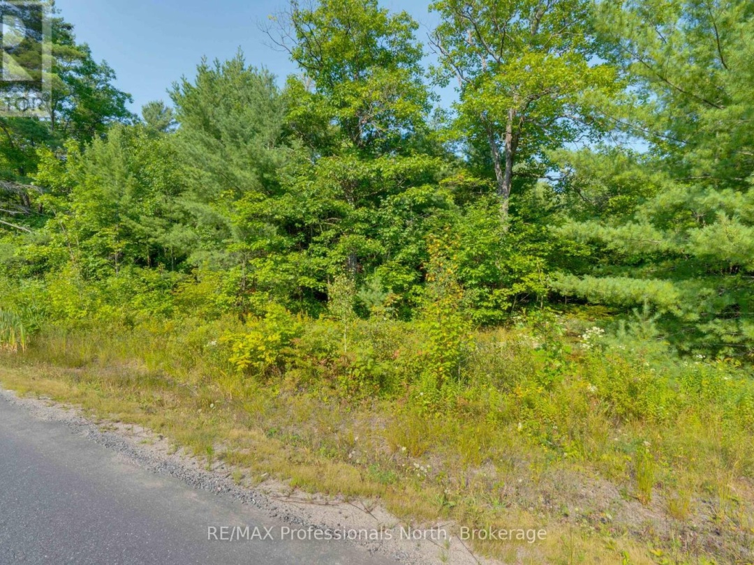 0 BONNIE LAKE ROAD, Bracebridge (Macaulay)