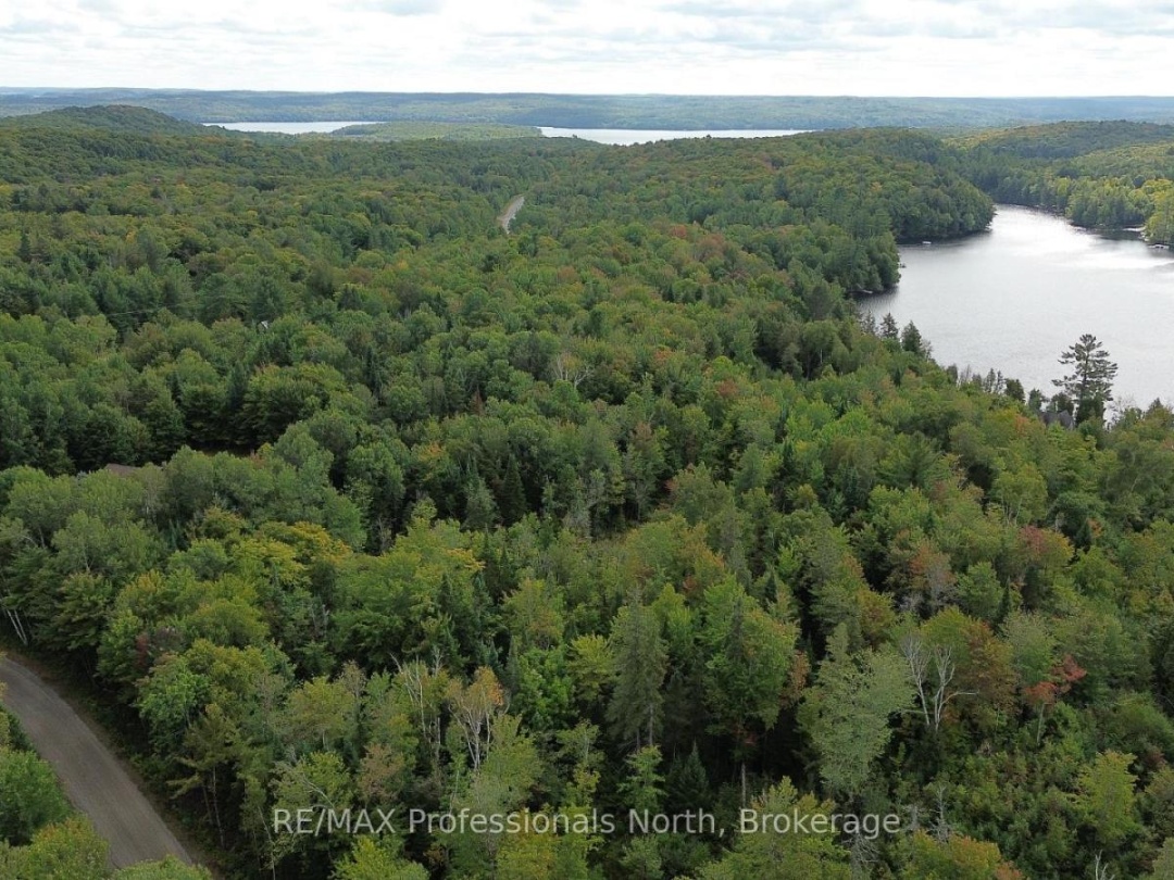 PCL 20438 & 29803 UPPER WALKER LAKE ROAD, Lake of Bays (Sinclair)