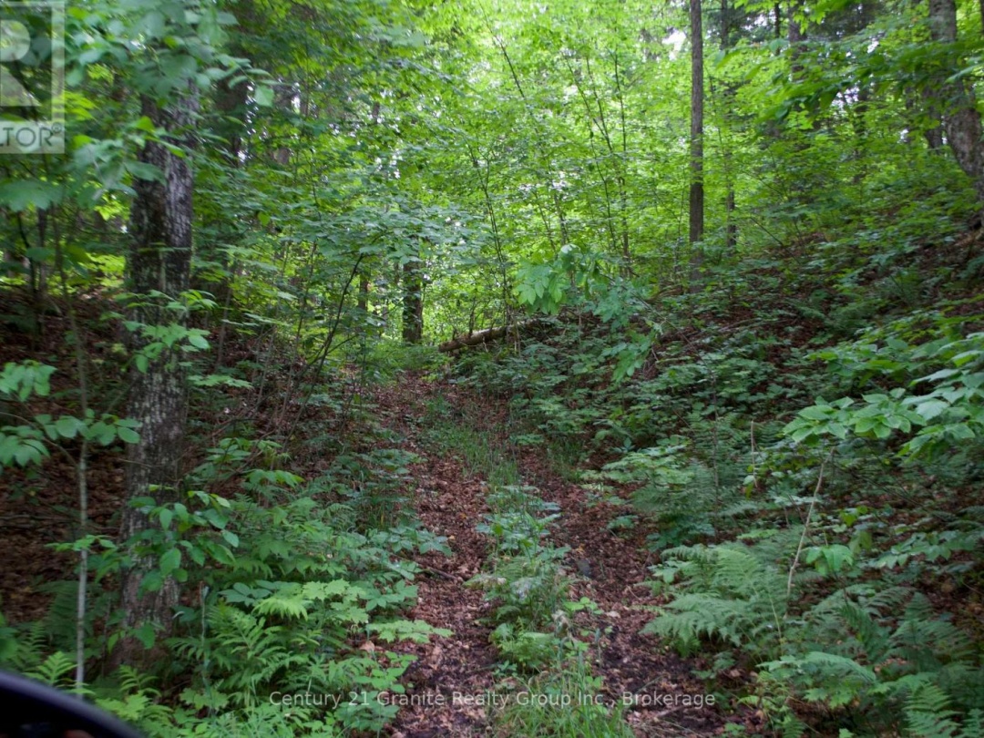 LOT 10 LOON LAKE ROAD S, Loon Lake