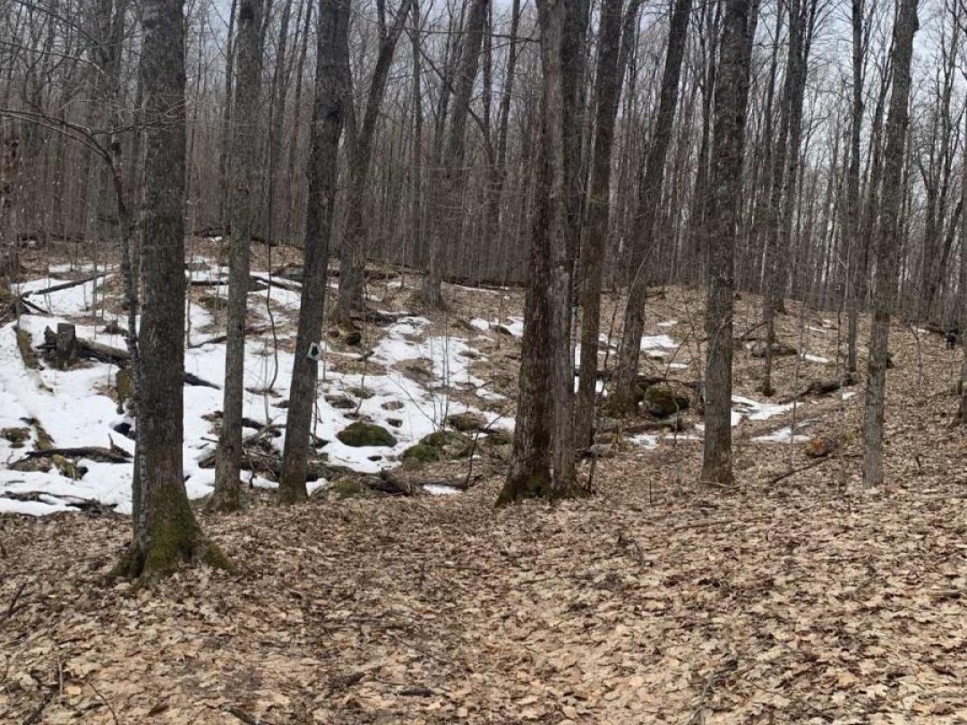 0 KASHAGAWIGAMOG LAKE ROAD, Dysart et al (Dysart)