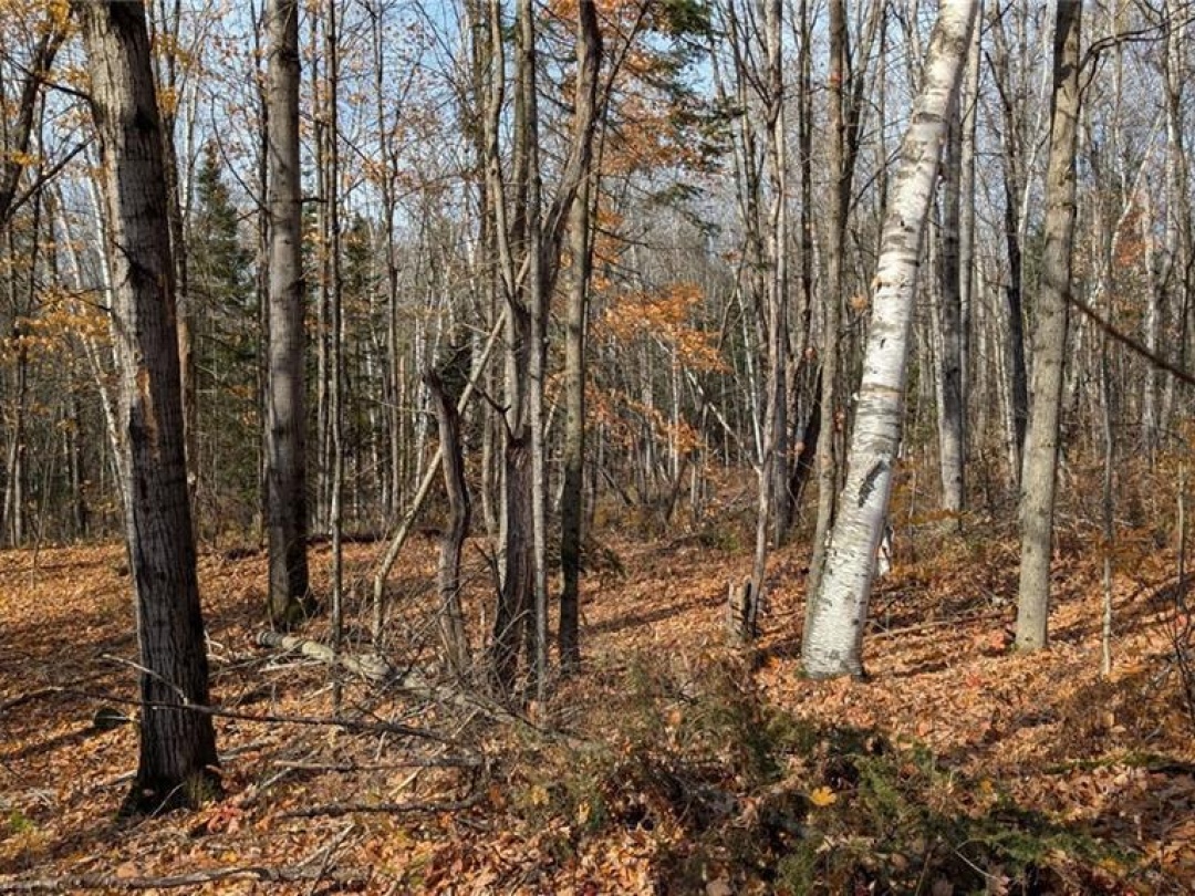 Lot 2 Tally Ho Winter Park Road, Lake Of Bays