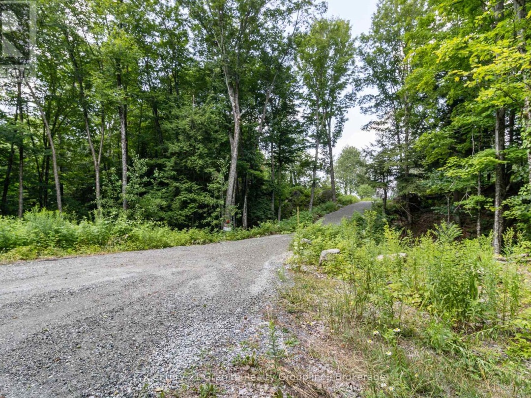 1059 DUNN ROAD, Haliburton Lake
