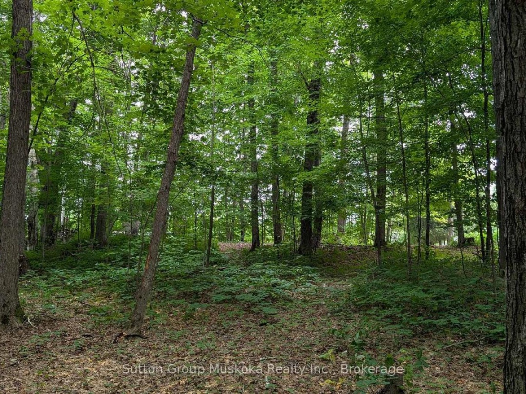 837 ASPDIN ROAD, Huntsville (Chaffey)