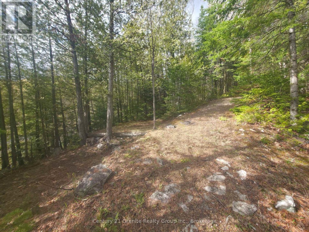 1325 ANDEK TRAIL, Salerno Lake