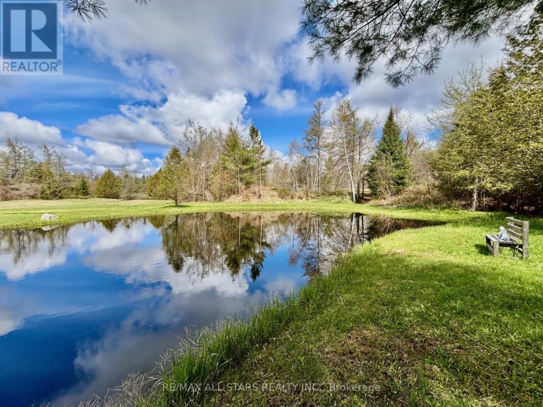 3580 COUNTY RD 121 ROAD, Trent Lakes