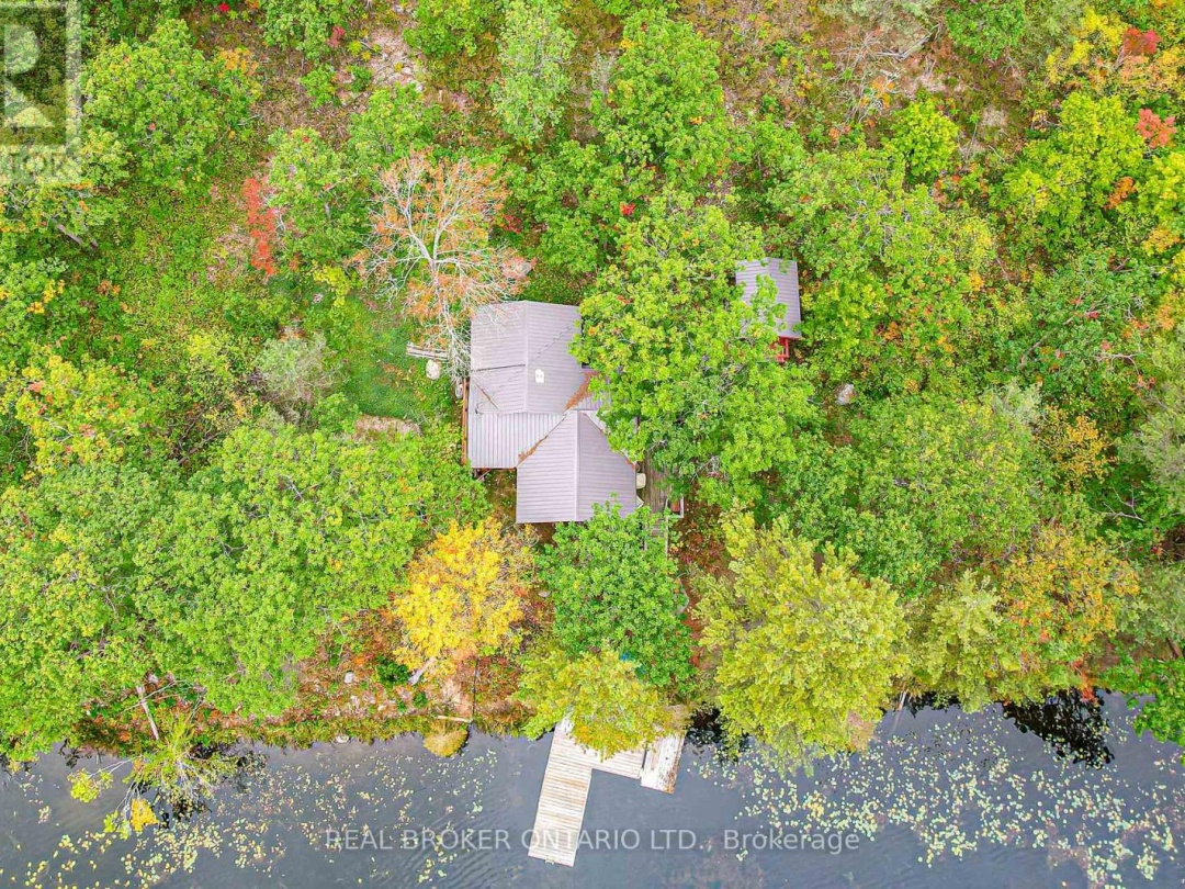 744 ISLAND 10/BAXTER LAKE, Baxter Lake
