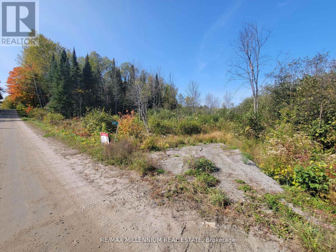 237 Victoria Street, Magnetawan