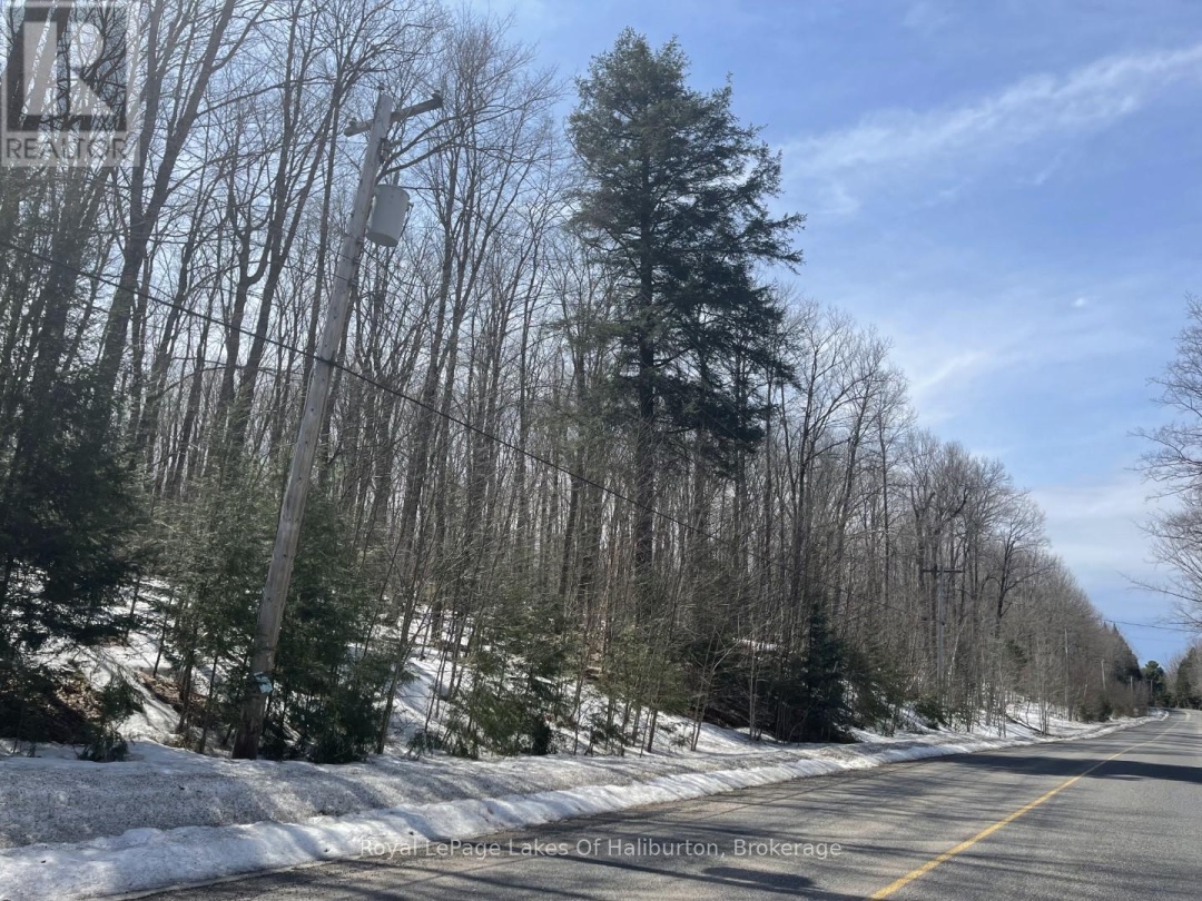 0 KASHAGAWIGAMOG LAKE ROAD, Dysart et al (Dysart)