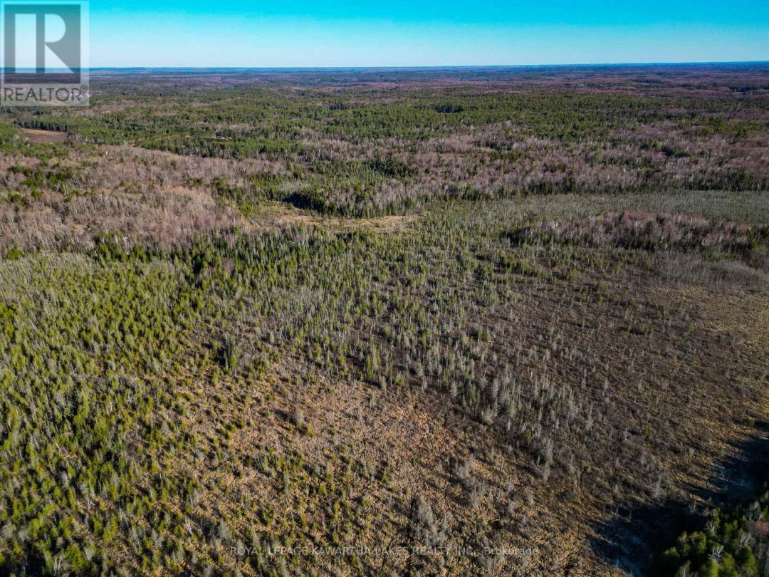 LT 4 DUTCH LINE ROAD W, Trent Lakes