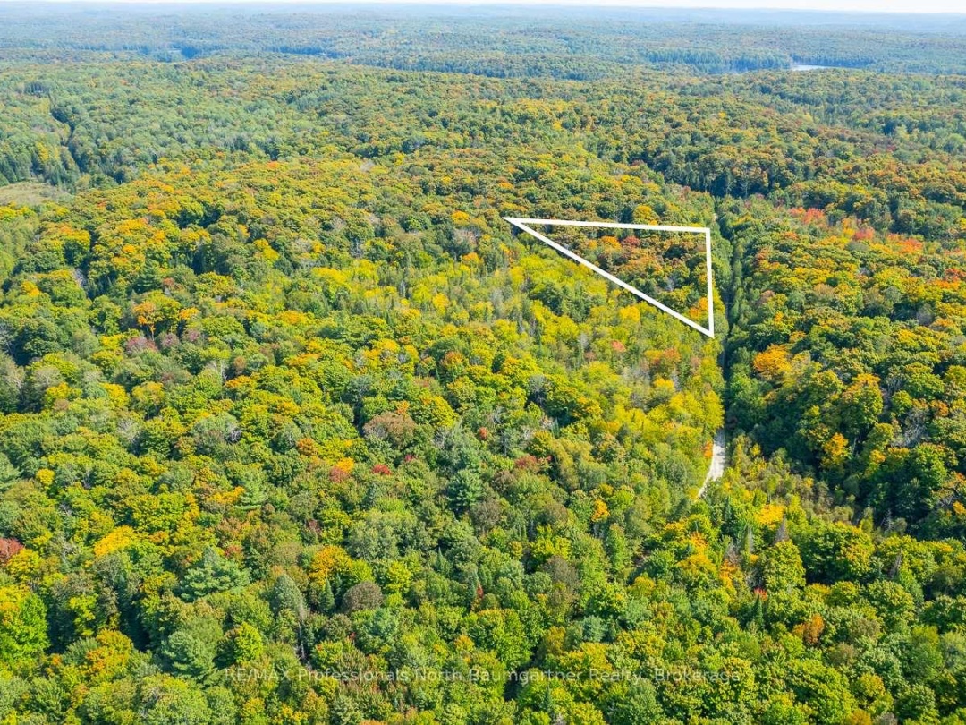 LOT 49 BASSHAUNT LAKE ROAD, 