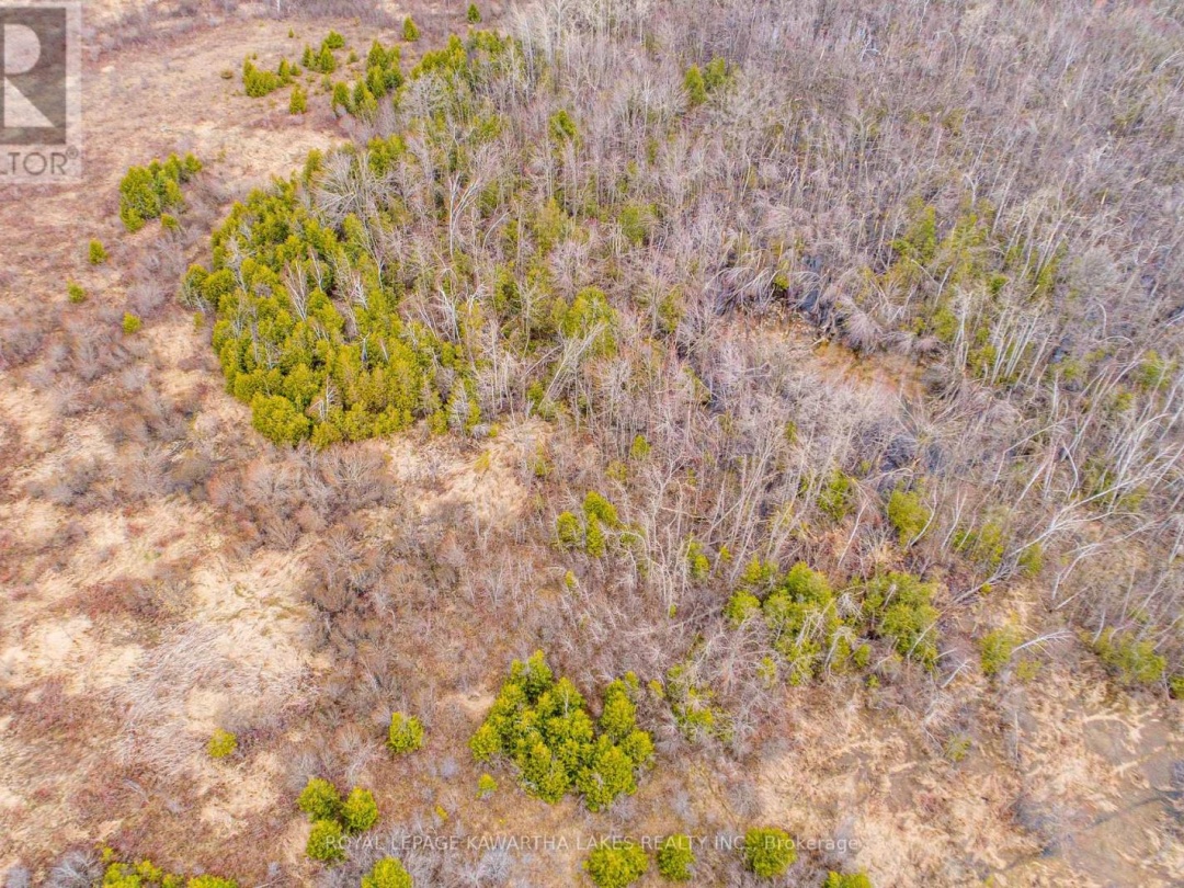 210 GRASSHILL ROAD, Kawartha Lakes (Woodville)