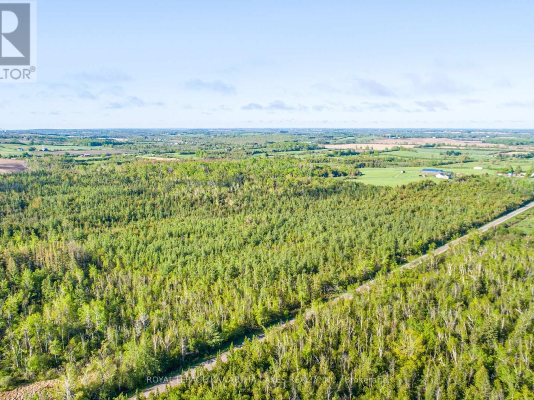 LOT 3 BLACK SCHOOL ROAD, Kawartha Lakes (Mariposa)
