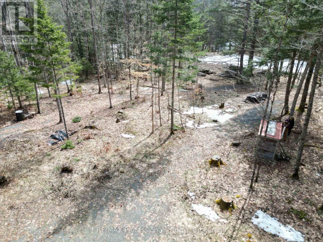 1231 BIG HAWK LAKE ROAD, Algonquin Highlands (Stanhope)