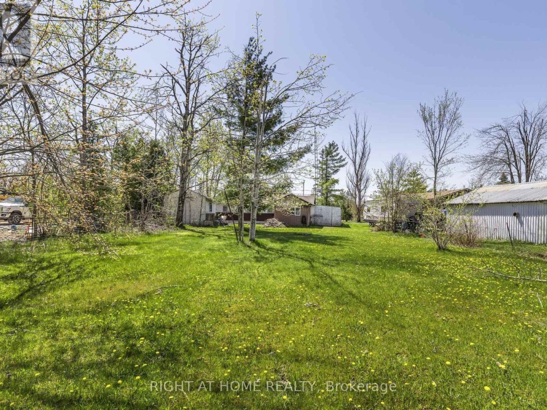 194 MCGUIRE BEACH ROAD, Kawartha Lakes (Carden)