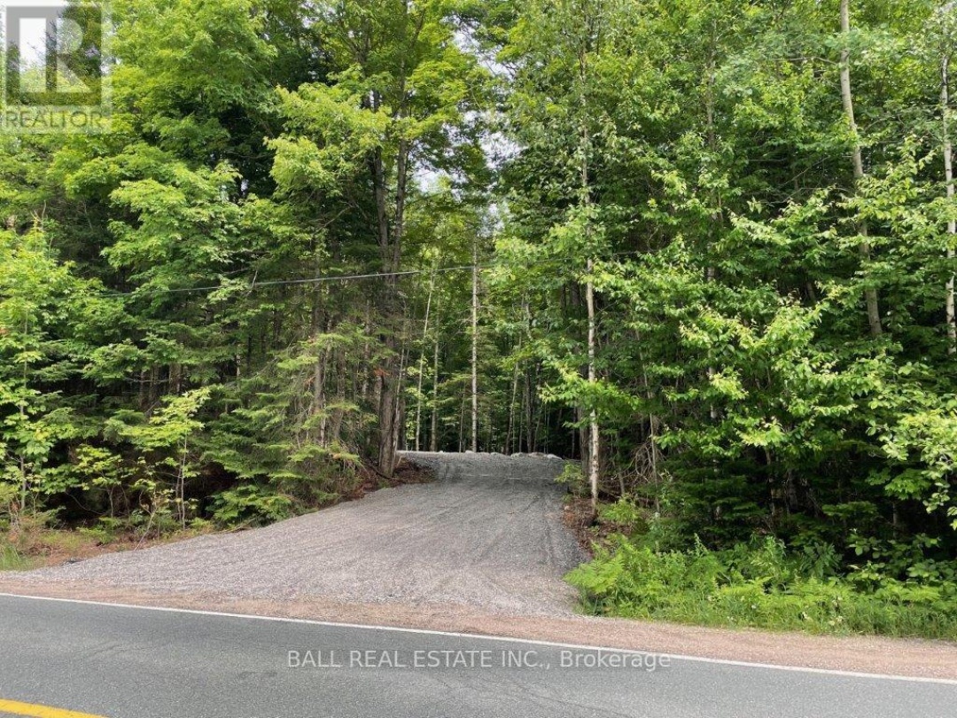 1350 HALIBURTON LAKE RD, Dysart et al (Dysart)