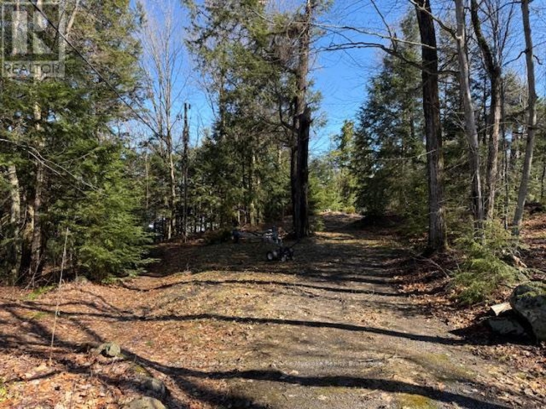 0 SOUTH CRANE LAKE ROAD, Crane Lake