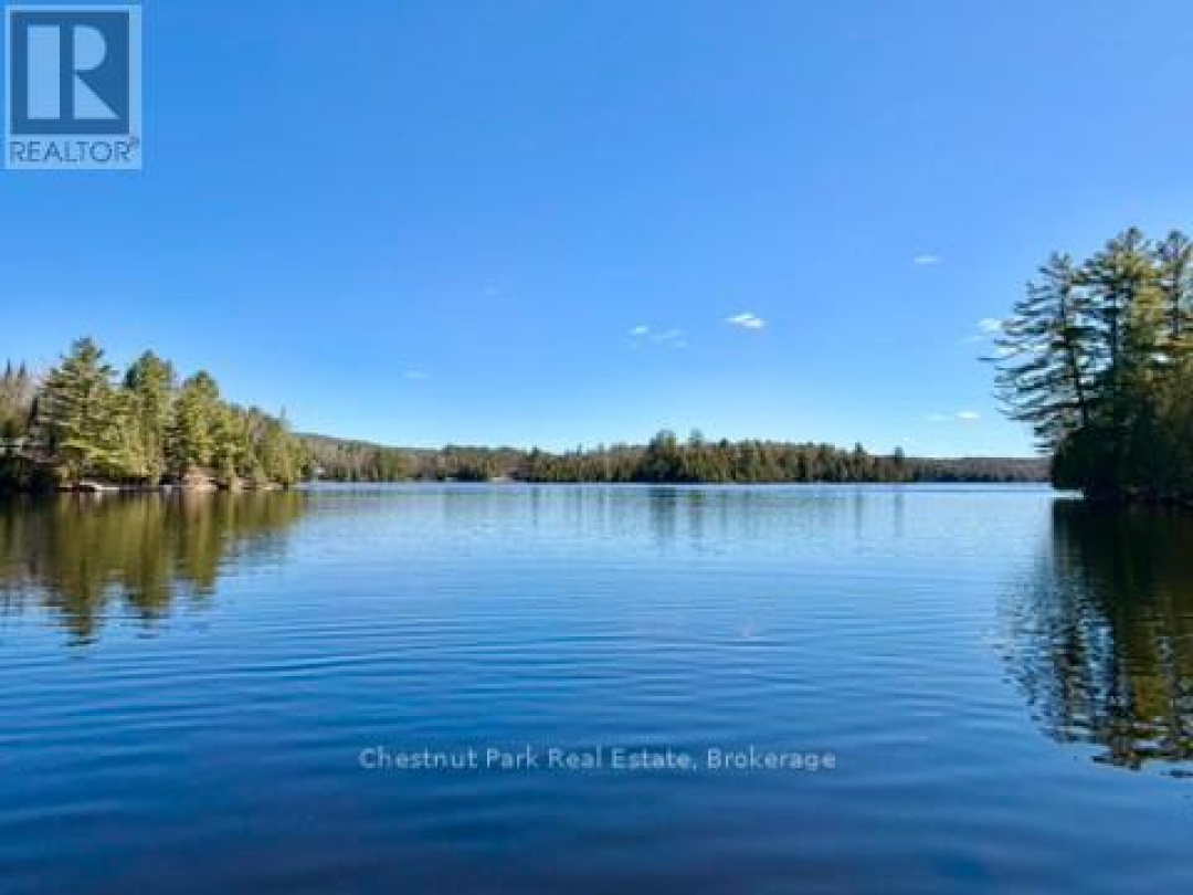 10453 COUNTY ROAD 503 ROAD, Gooderham Lake