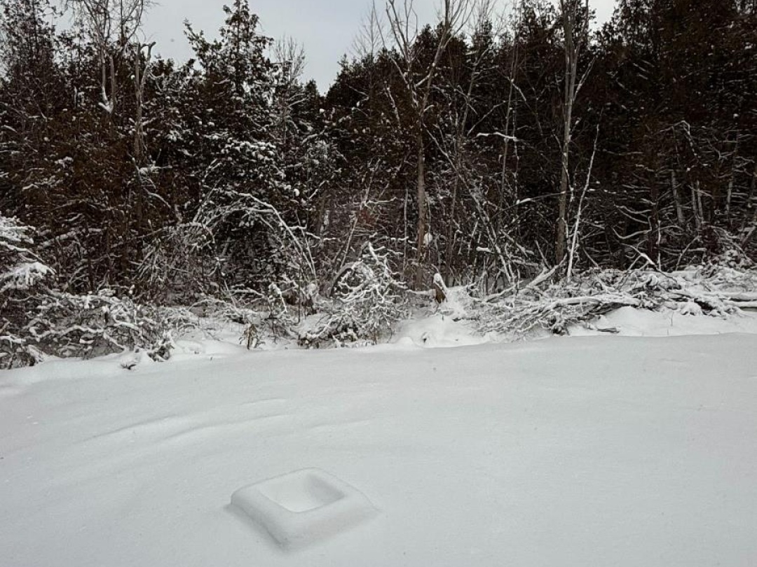 23 BLYTHE SHORE ROAD,