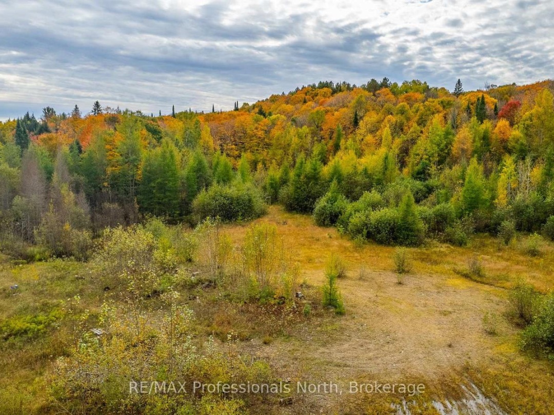 1600 BOBCAYGEON ROAD, Minden Hills (Minden)