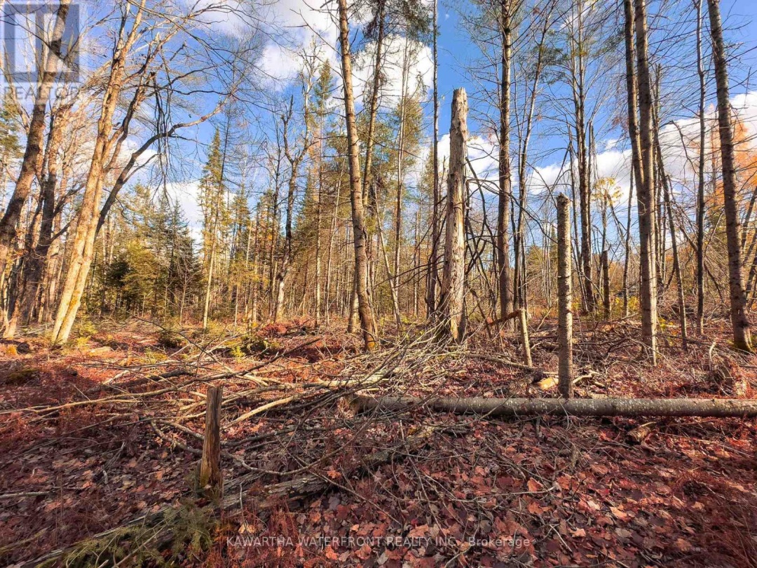 0 WEISMULLER LANE, Bracebridge (Draper)