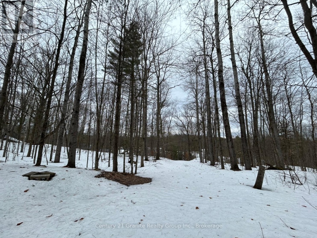 1037 ROTUNDA DRIVE, Contau Lake