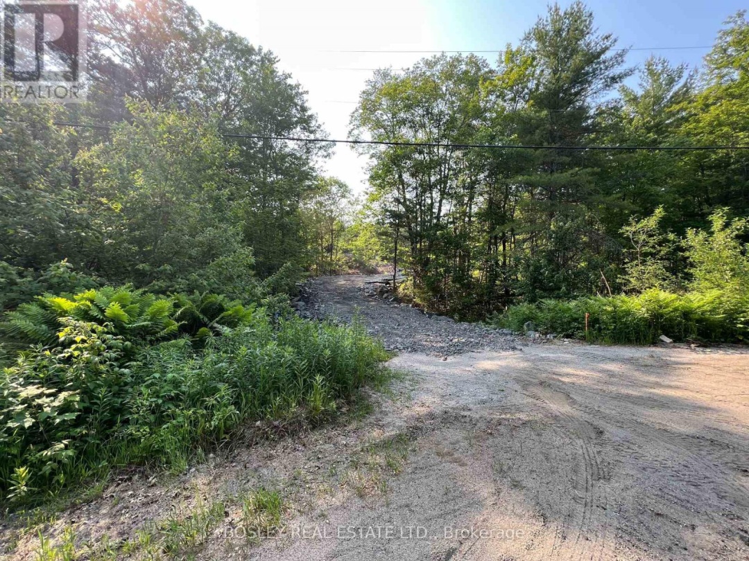 1874 HIGHWAY 11 N, Jevins Lake