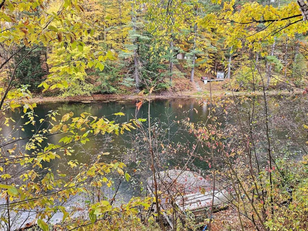 2562 NORTON ROAD, 