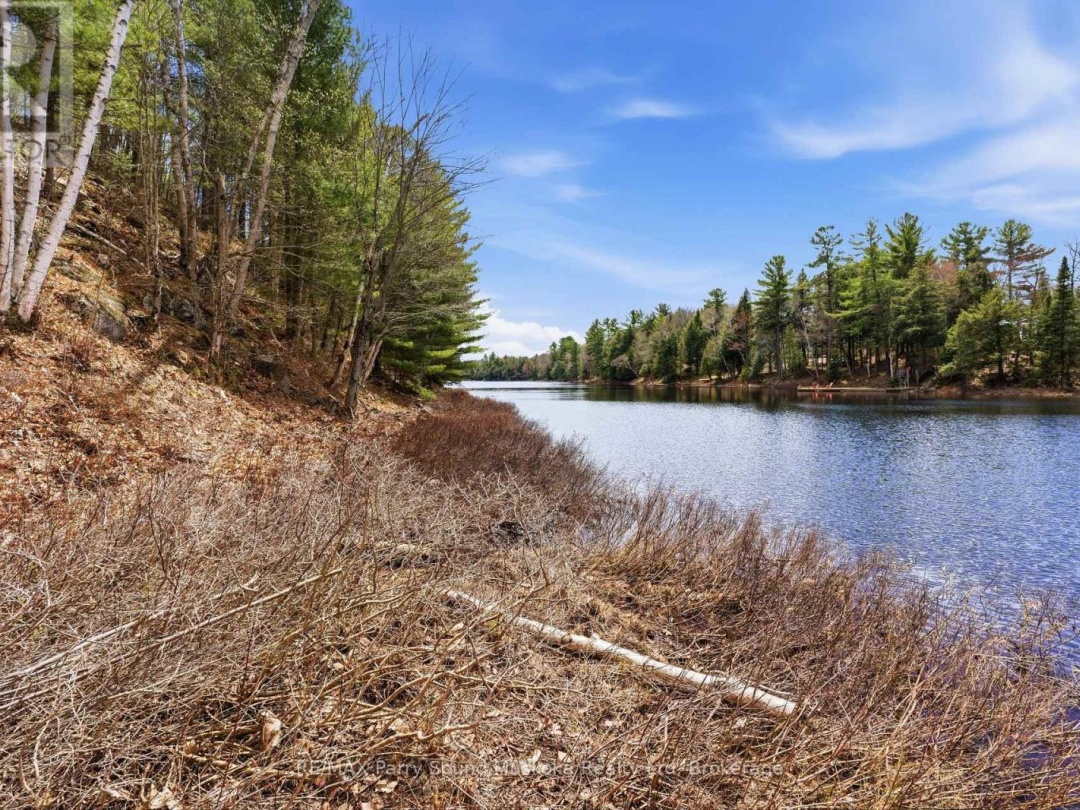 25 LAKE RIDGE ROAD, Bell Lake