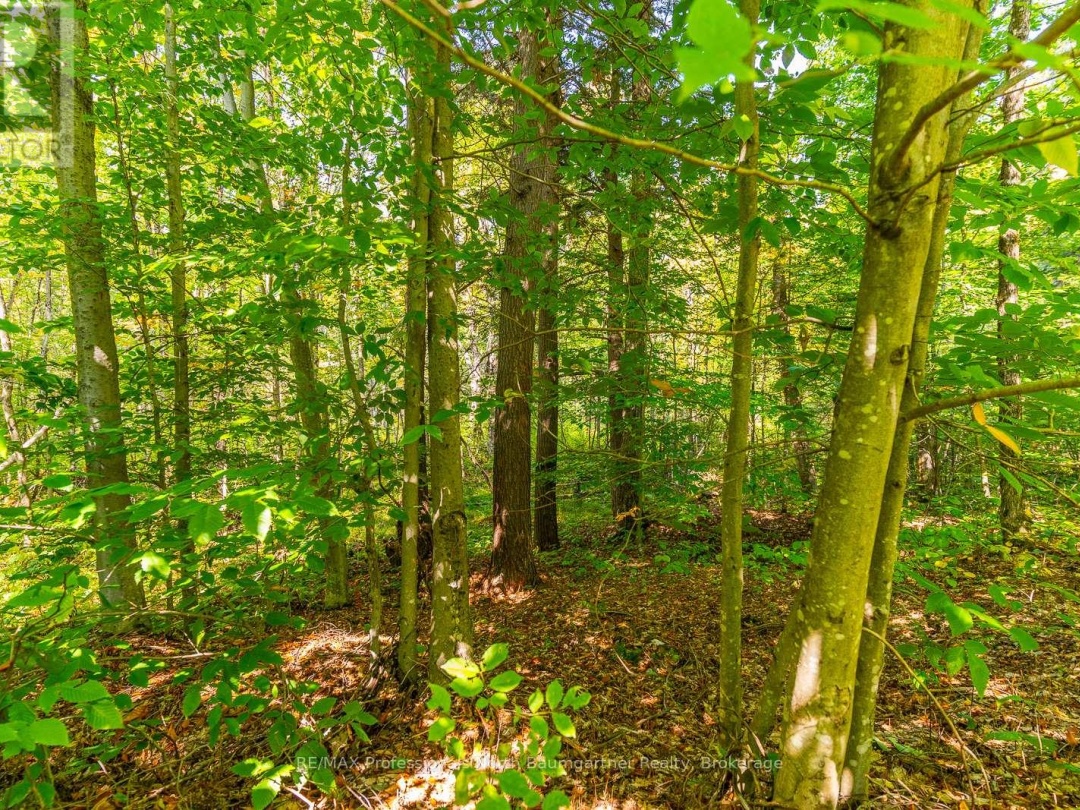 LOT 49 BASSHAUNT LAKE ROAD, 