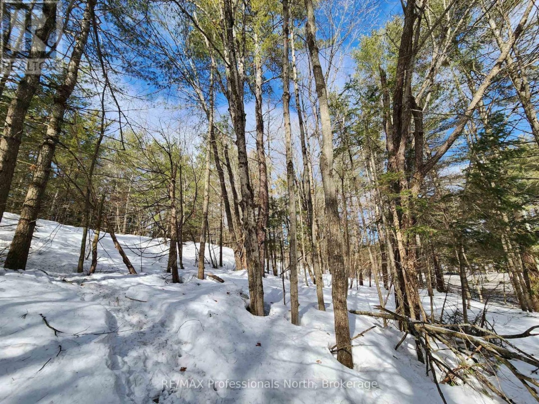 00 MANITOBA STREET, Bracebridge (Macaulay)