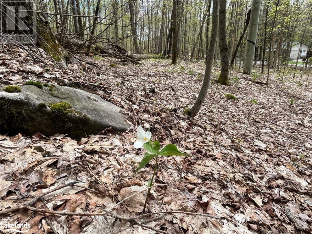 LOT 133 BRENNAN CIRCLE, Lake Vernon