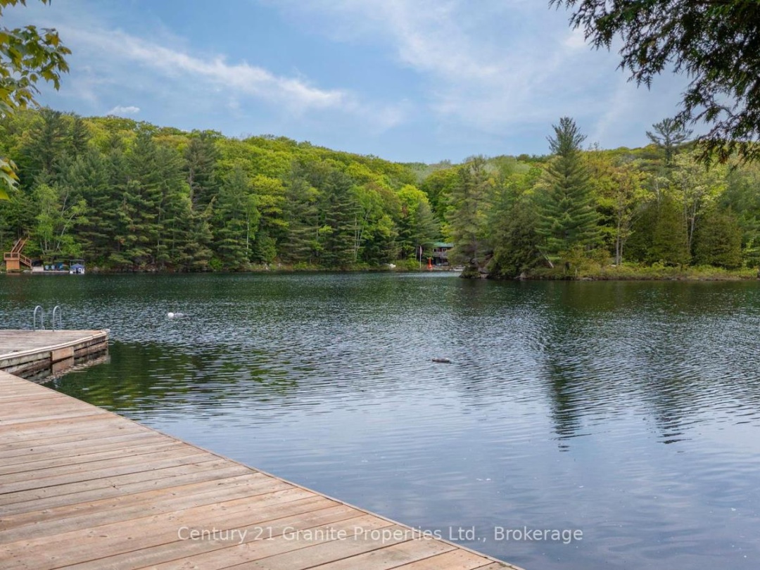 131 DOWNES ROAD, Horseshoe Lake