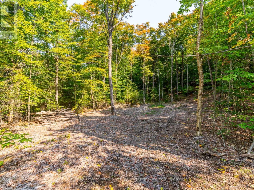 LOT 49 BASSHAUNT LAKE ROAD, 