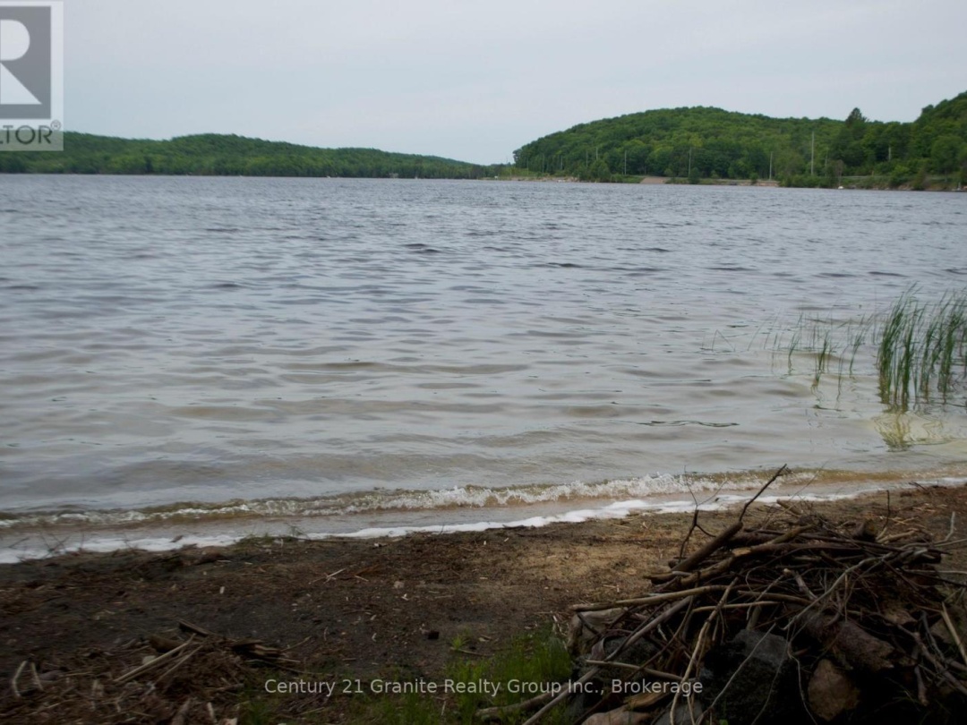LOT 10 LOON LAKE ROAD S, Loon Lake