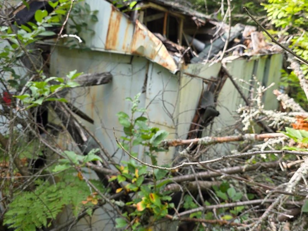 671 LYNX LAKE ROAD, 