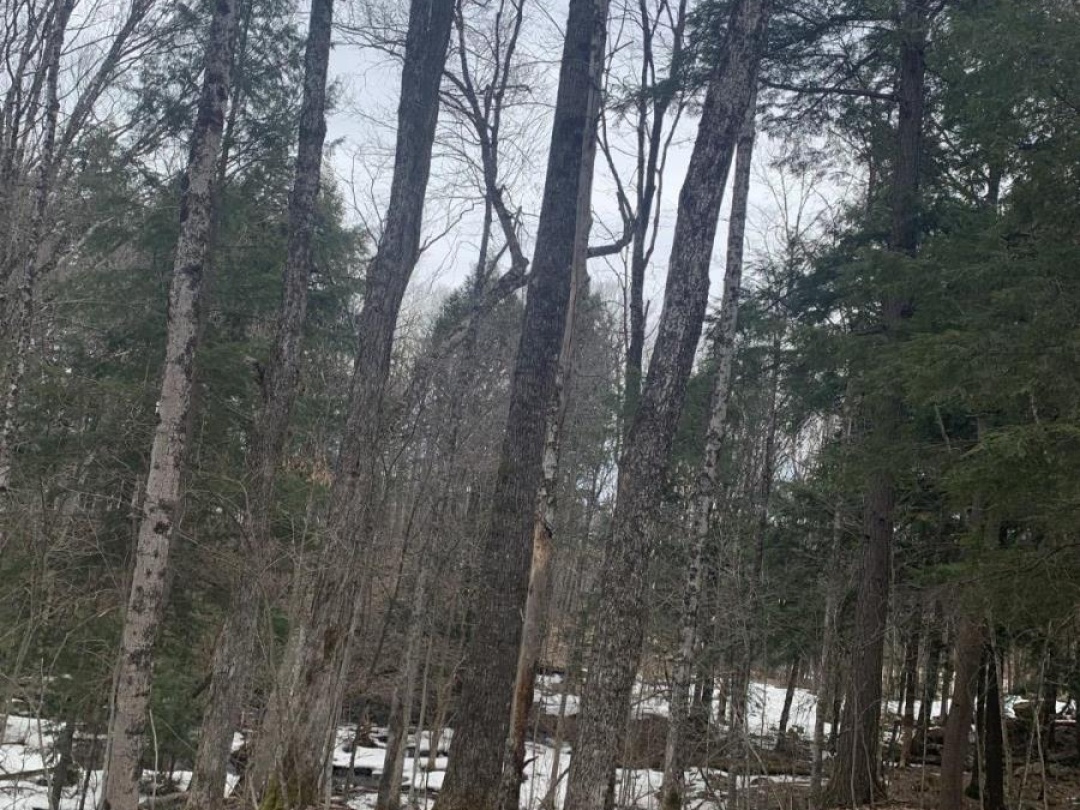 0 KASHAGAWIGAMOG LAKE ROAD, Dysart et al (Dysart)