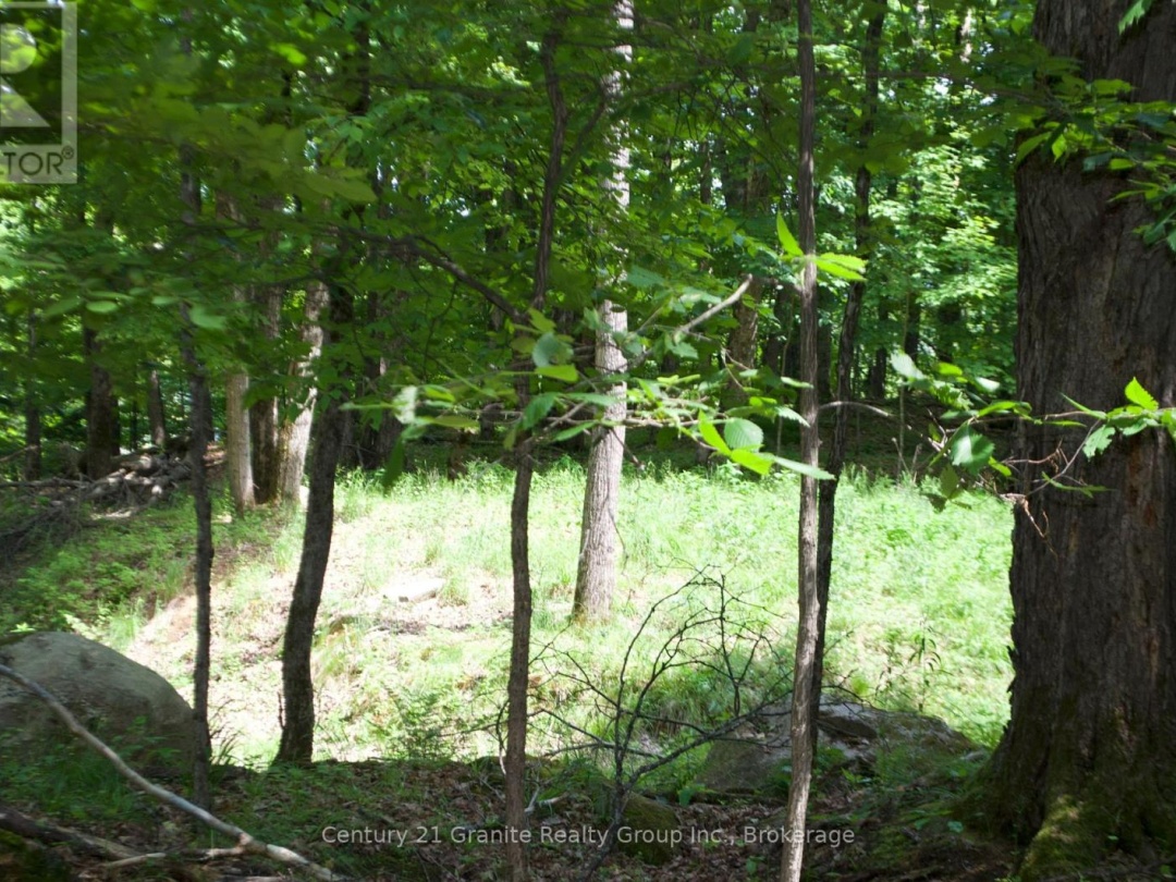 LOT 7 RIDGEVIEW ROAD, 