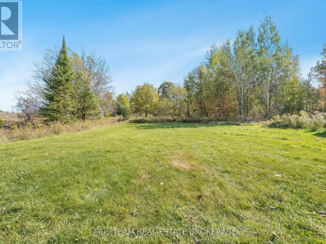 1309 LAUGHLIN FALLS ROAD, 