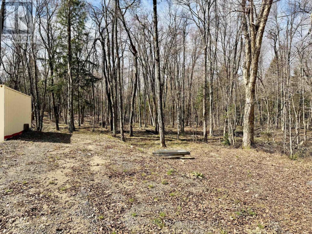 2388 DOE LAKE ROAD, Gravenhurst (Ryde)