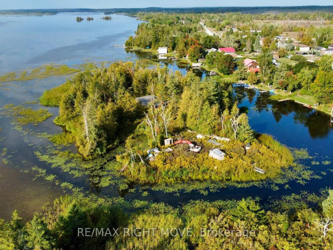 175 MCGUIRE BEACH ROAD, 