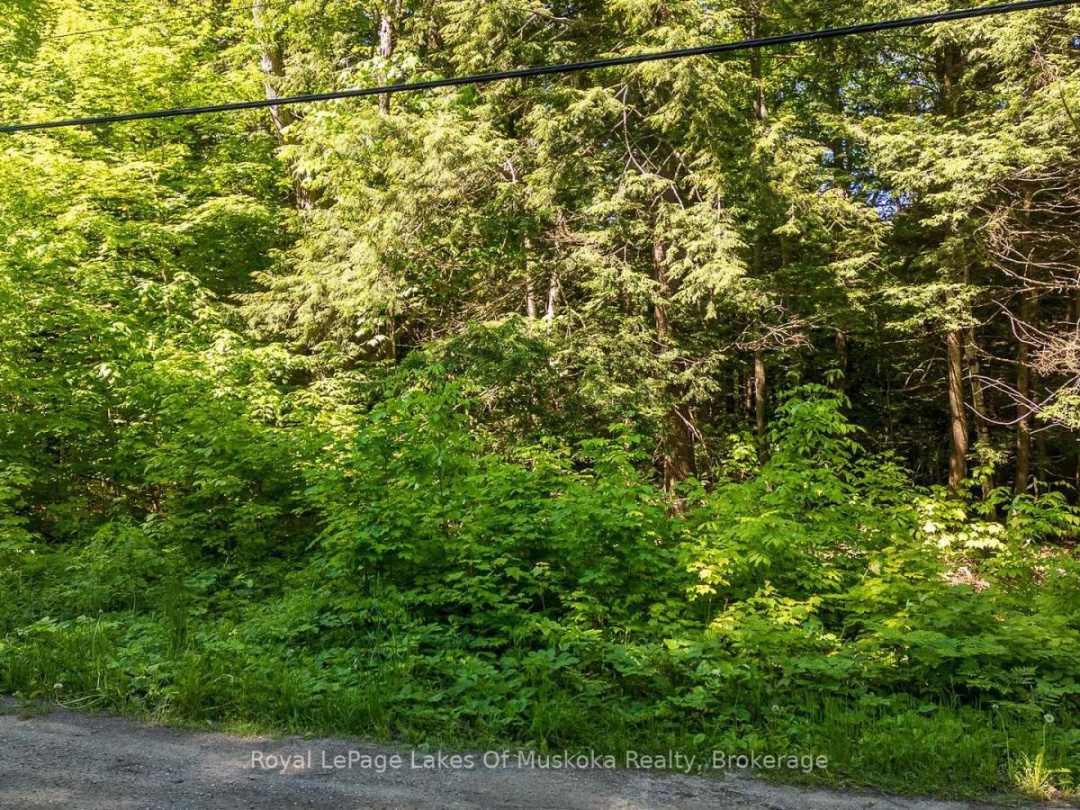 1061 SOUTH MULDREW LAKE ROAD, Gravenhurst (Morrison)