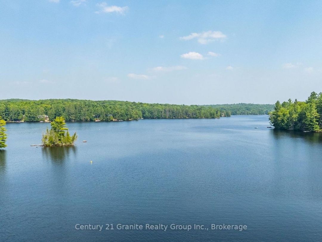 1085 GRACE ROAD, Soyers Lake