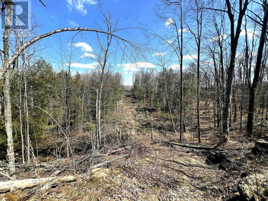 1534 SALERNO LAKE ROAD, Highlands East (Glamorgan)
