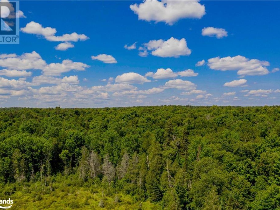 Lot 8 Nelson Lake Road, Magnetawan