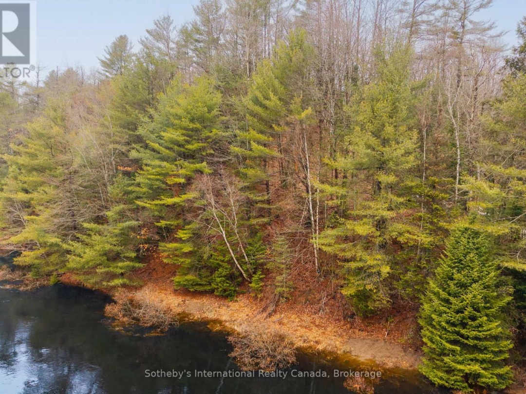 1000 ALPINE RANCH ROAD, North Branch Muskoka River