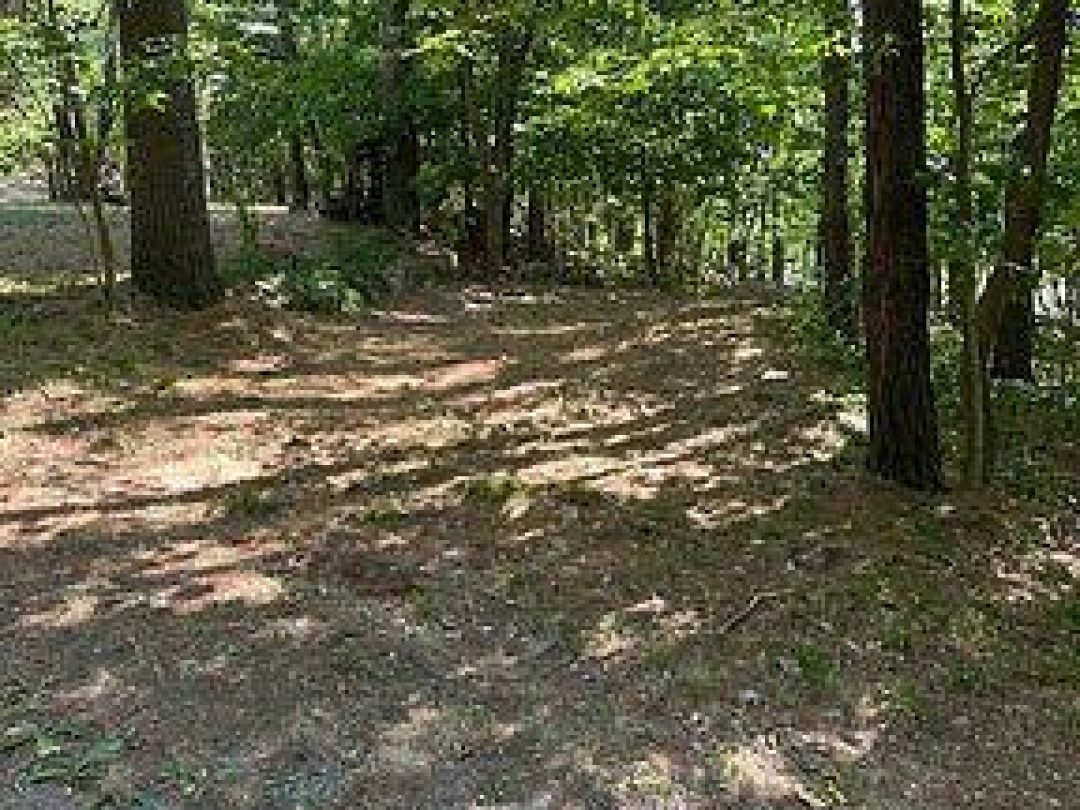 2875 COUNTY ROAD 21 ROAD, Minden Hills (Minden)