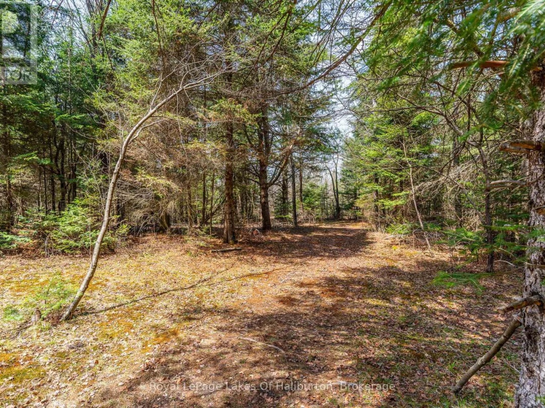 1033 BAYBERRY LANE, Irondale River