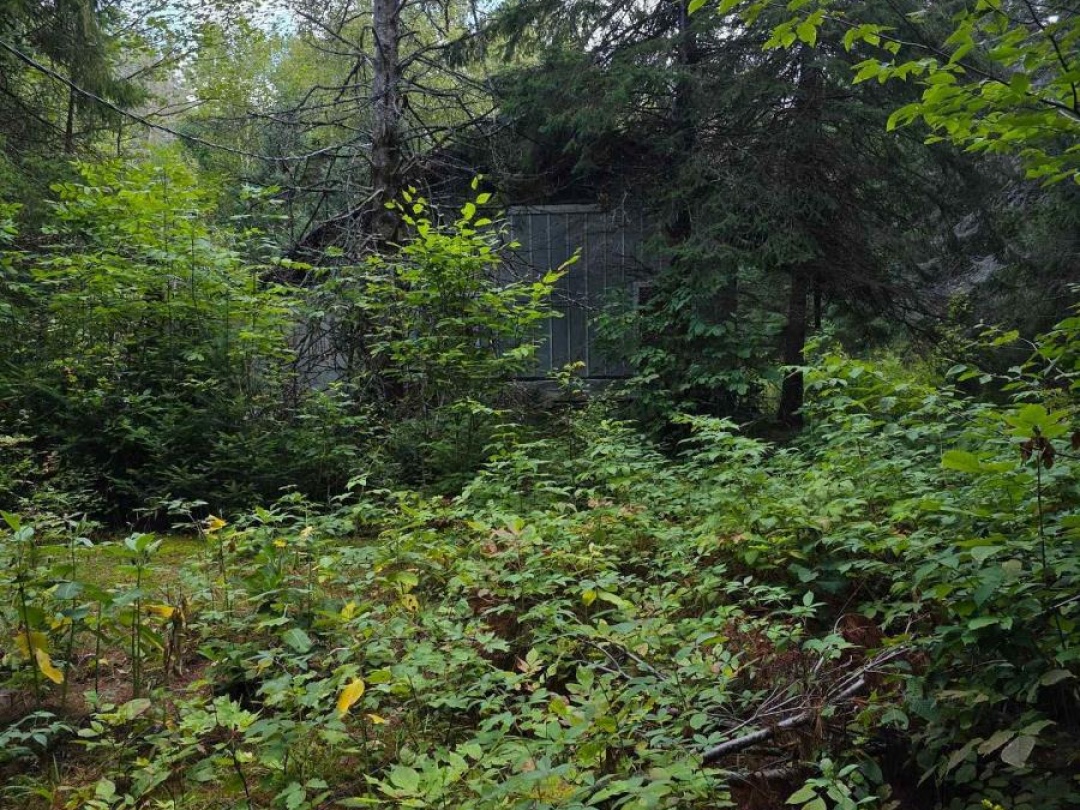 671 LYNX LAKE ROAD, 